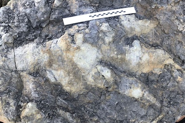 Phát hiện dấu chân khủng long ăn thịt 166 triệu năm tuổi tại Anh - Anh 1