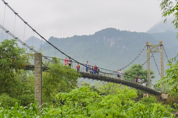 2.000 VĐV tham gia giải Marathon khám phá Quảng Bình - Anh 1