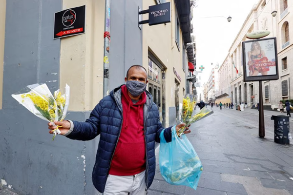 Italia: Ngày Quốc tế Phụ nữ 8.3  “hụt hẫng” vì thiếu hoa mimosa - Anh 1