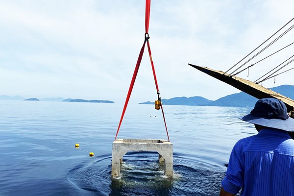Quảng Nam tăng cường các giải pháp quản lý khu bảo tồn biển - Anh 1