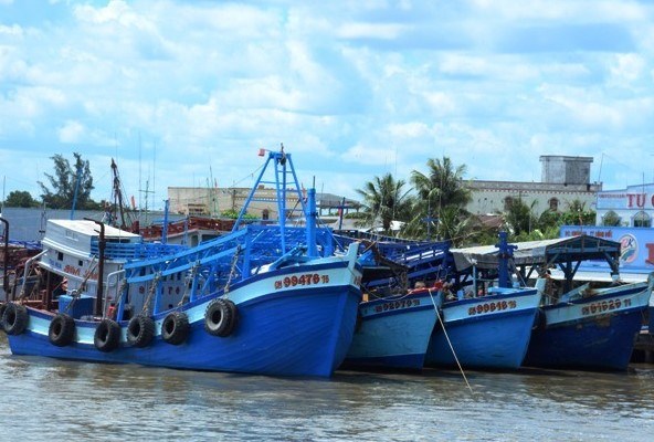 Việt Nam quyết tâm chống khai thác hải sản bất hợp pháp để gỡ “thẻ vàng” - Anh 3