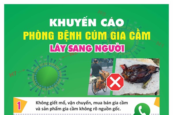 Hà Nội tǎng cường phòng, chống cúm gia cầm lây sang người - Anh 1