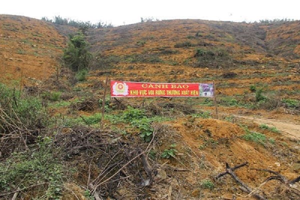 Nguy cơ xóa sổ voi rừng ở Nghệ An - Anh 1