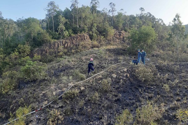 Bình Định: Kịp thời dập tắt đám cháy trên núi Bà Hỏa - Anh 2
