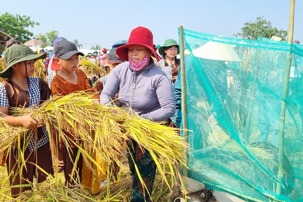 Quảng Ngãi: Lễ hội Ngày mùa tôn vinh nghề trồng lúa nước - Anh 1