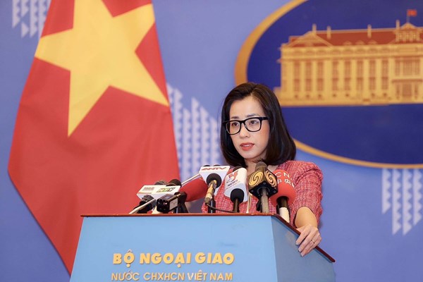 Việt Nam kiên quyết phản đối các hành động xâm phạm chủ quyền đối với Hoàng Sa, Trường Sa - Anh 1