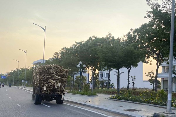 Xây dựng văn hóa giao thông an toàn trên địa bàn Bình Định - Anh 2