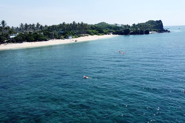 Bơi vượt biển, trải nghiệm đầy thú vị ở đảo Lý Sơn - Anh 3