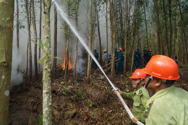 Quảng Ngãi cảnh báo cháy rừng cấp 5, cấp cực kỳ nguy hiểm - Anh 3