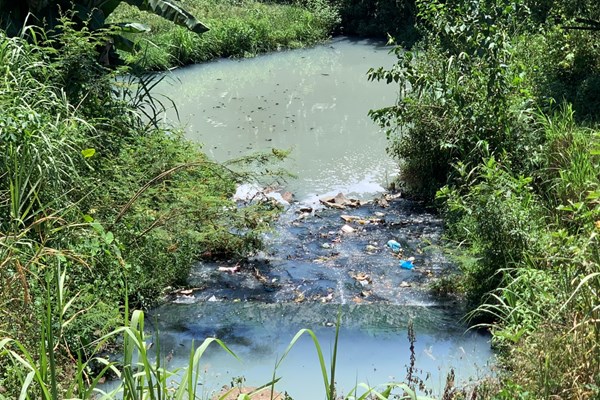 Quảng Ngãi: Các tuyến kênh và hồ điều hòa ô nhiễm nghiêm trọng - Anh 5
