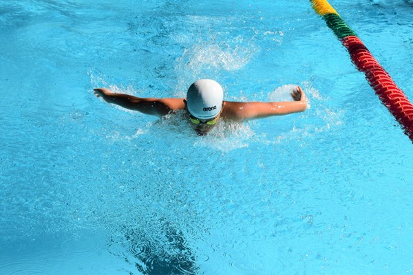 Hơn 300 vận động viên tranh tài tại Giải Bơi - Lặn trẻ vô địch quốc gia 2023 - Anh 2