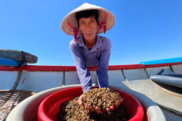 Nghề cào don ven sông - Anh 3