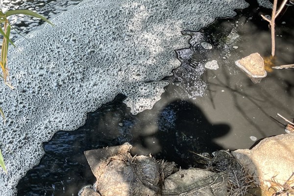Đắk Nông: Người dân “lo lắng” khi dòng suối Đá Bàn ở huyện Cư Jút chuyển màu đen, bốc mùi hôi thối - Anh 1