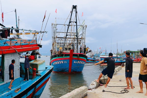 Quảng Ngãi kêu gọi tàu thuyền khẩn trương vào nơi neo trú an toàn - Anh 2