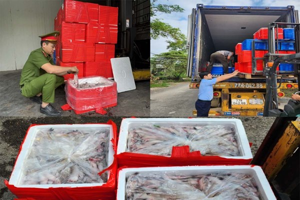 Bắt giữ hơn 4.500 kg cá khoai ướp phoóc môn chuẩn bị 'tuồn' ra thị trường - Anh 1