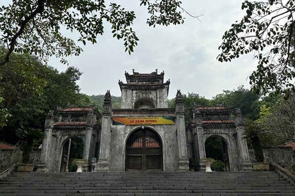Hệ thống cây xanh tại Khu Di tích quốc gia đặc biệt đền Bà Triệu bị mối mọt xâm hại nghiêm trọng - Anh 1
