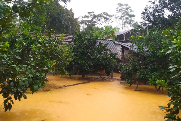 Hà Tĩnh: Lũ lụt cô lập nhiều địa phương, ba người chết và mất tích - Anh 2