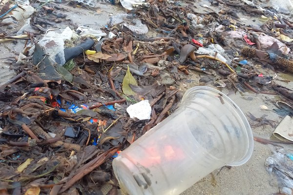 Quảng Ngãi: Bãi biển ngập rác sau mưa lớn - Anh 3