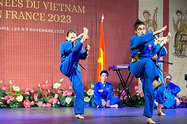 Ấn tượng võ Việt trong Ngày Việt Nam tại Pháp 2023 - Anh 2