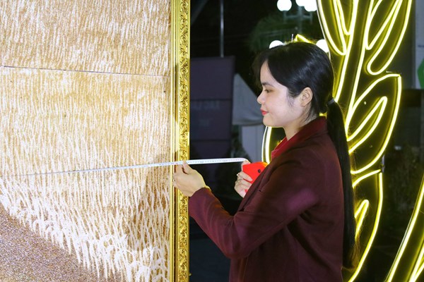 Bức tranh lớn nhất Việt Nam được làm từ gạo ST - Anh 2