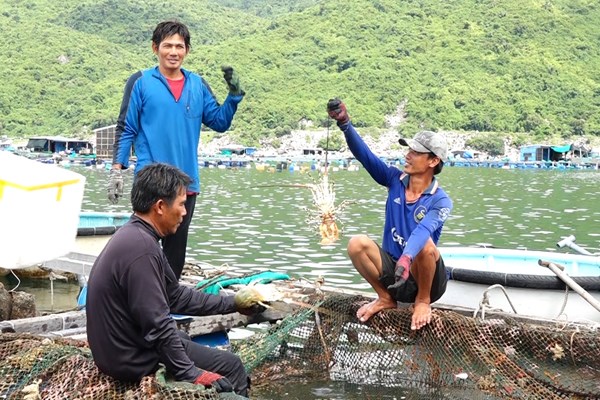Bàn giải pháp phát triển bền vững nghề nuôi biển Việt Nam - Anh 3