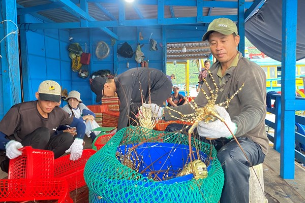 Bàn giải pháp phát triển bền vững nghề nuôi biển Việt Nam - Anh 4