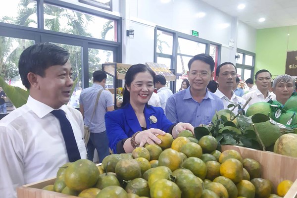 Vùng đất trung du, miền núi Bình Định có trung tâm trưng bày, giới thiệu sản phẩm nông nghiệp OCOP - Anh 2