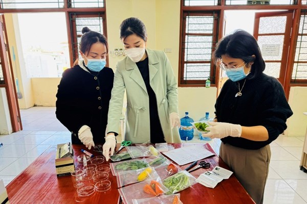 Bắc Ninh: Tăng cường kiểm tra, giám sát phòng chống ngộ độc thực phẩm - Anh 2