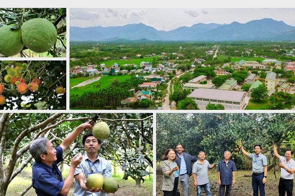 Vườn trái ngọt ven sông Phước Giang - Anh 1