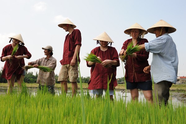 Du lịch sinh thái gắn kết bảo vệ môi trường ở Cẩm Thanh - Anh 1