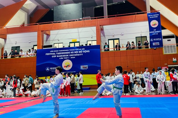 Gần 1.100 võ sinh dự Festival Taekwondo Hà Nội mở rộng - Anh 2