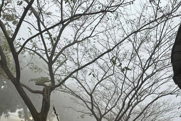 Sương mù xuất hiện tại Thủ đô, có lo ngại về vấn đề sức khoẻ? - Anh 2