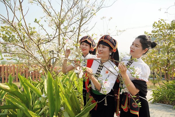 “Lễ hội hoa Ban” - Thương hiệu du lịch đặc sắc của Điện Biên - Anh 2