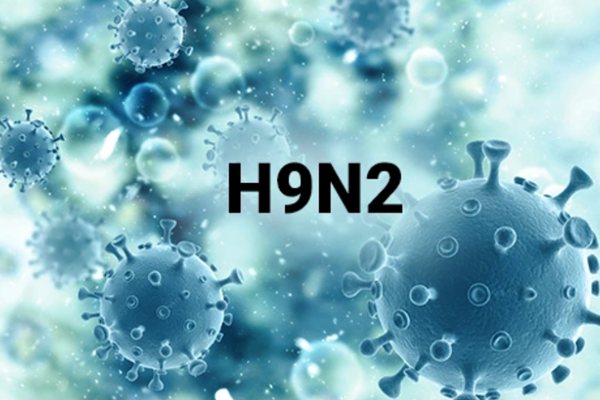 Từ ca mắc cúm A/H9 đầu tiên: Bộ Y tế khuyến cáo phòng bệnh - Anh 1
