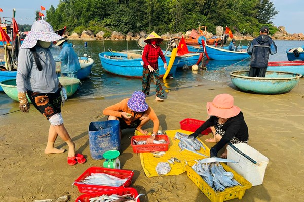 Mưu sinh nghề thúng chai của ngư dân ven biển Quảng Ngãi - Anh 2