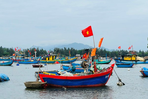 Mưu sinh nghề thúng chai của ngư dân ven biển Quảng Ngãi - Anh 5