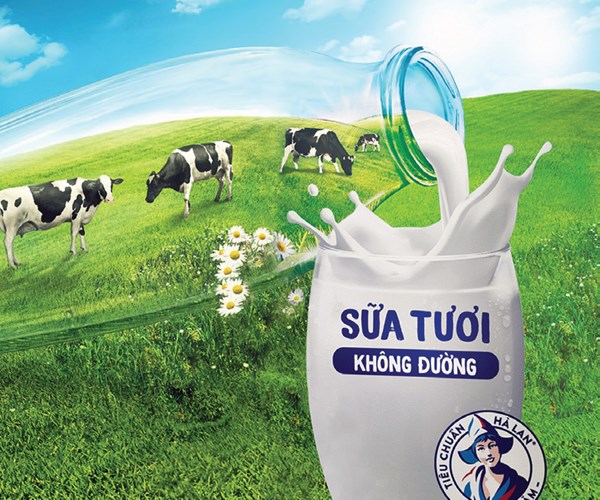 Sữa tươi Cô Gái Hà Lan và cách định vị thương hiệu từ chữ “chuẩn” - Anh 1
