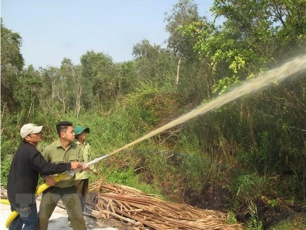 Một nửa rừng tràm U Minh Hạ đang ở mức báo động cháy cao nhất - Anh 1