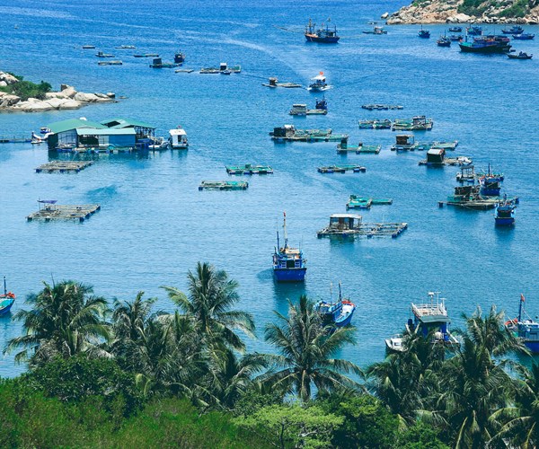 Ninh Thuận – Động lực mới cho du lịch Việt đột phá - Anh 2