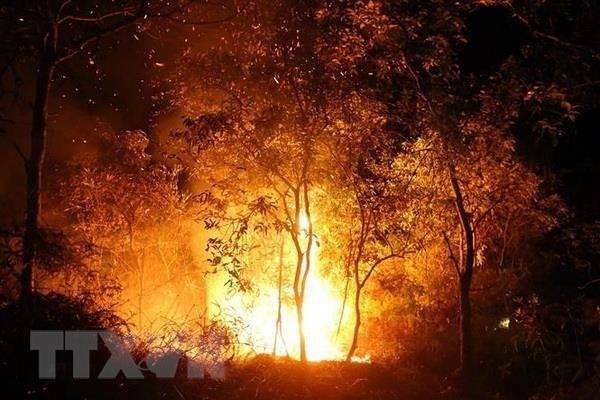 Cháy rừng trong đêm ở Điện Biên, hàng trăm người dập lửa - Anh 1