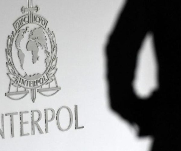Interpol giải cứu hàng chục trẻ em khỏi mạng lưới ấu dâm trực tuyến - Anh 1