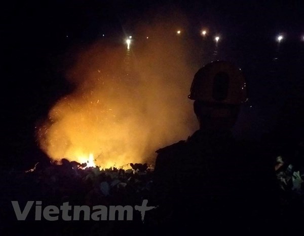 Đà Nẵng: Dập tắt vụ cháy rừng trên bán đảo Sơn Trà - Anh 1