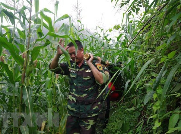 Bộ đội biên phòng Lào Cai tìm thấy thi thể cụ bà bị lạc trong rừng - Anh 1