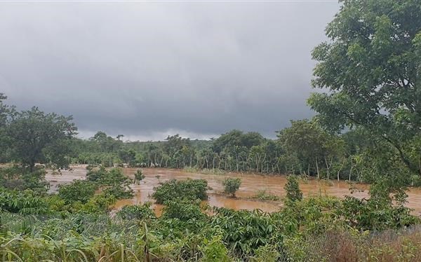 Mưa lớn kéo dài tại Đắk Nông làm thiệt hại gần 135 tỉ đồng - Anh 1