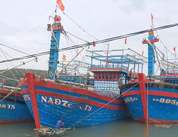 Nghệ An quyết định cấm tàu thuyền ra khơi đánh bắt hải sản - Anh 1