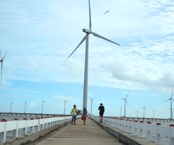 “Cánh đồng điện gió” trở thành điểm check in hot nhất Bạc Liêu - Anh 2