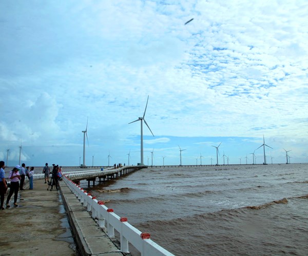 “Cánh đồng điện gió” trở thành điểm check in hot nhất Bạc Liêu - Anh 1