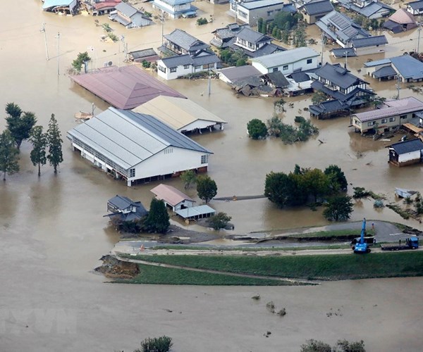 Nhật Bản: Mưa lớn cản trở công tác khắc phục hậu quả bão Hagibis - Anh 1