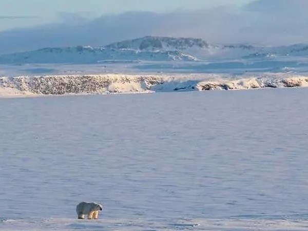Nga bất ngờ phát hiện 5 hòn đảo mới ở Bắc Cực nhờ băng tan - Anh 1