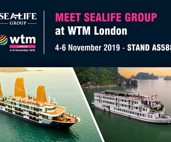 Du lịch Việt Nam tham gia WTM London 2019 - Anh 2